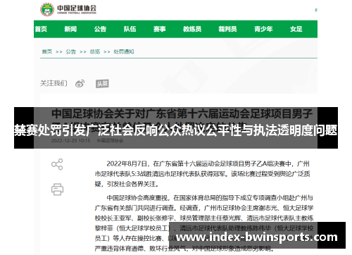 禁赛处罚引发广泛社会反响公众热议公平性与执法透明度问题
