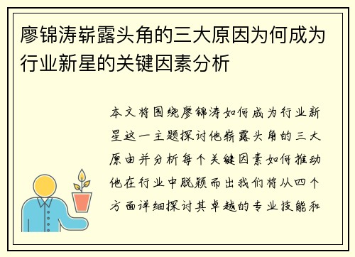 廖锦涛崭露头角的三大原因为何成为行业新星的关键因素分析